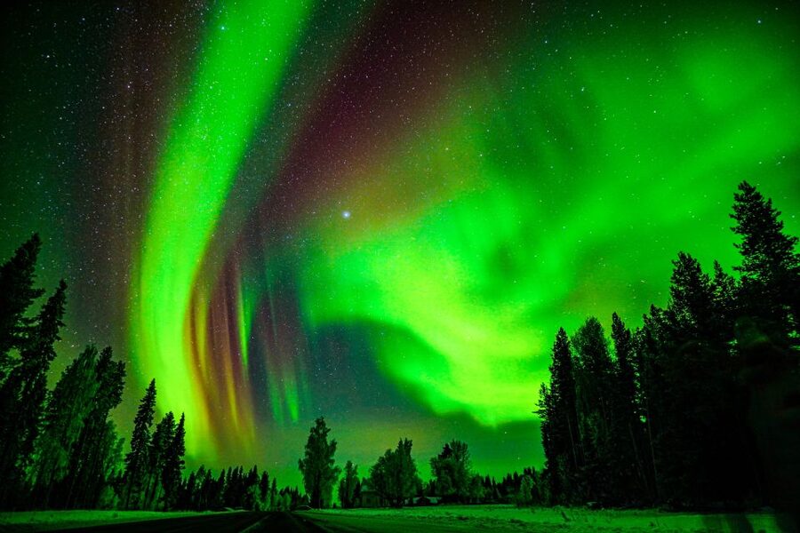 Northern Lights Hunting Adventure in Lapland - Booking tips that can improve your night