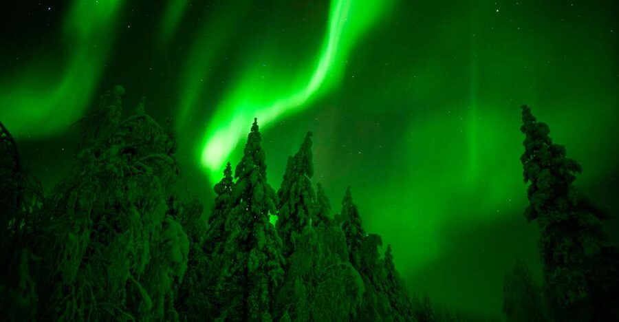 Northern Lights Hunting Adventure in Lapland - Why this tour takes Aurora hunting seriously