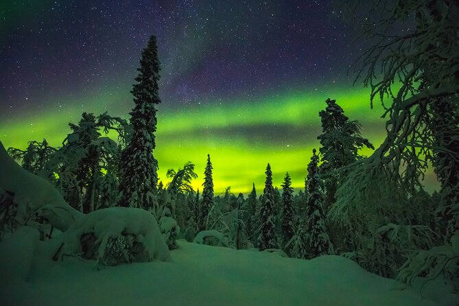 Northern Lights Hunting of Rovaniemi - Campfire cooking in the Arctic night