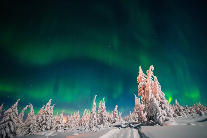 Northern Lights Hunting of Rovaniemi - How much aurora explanation should you expect?