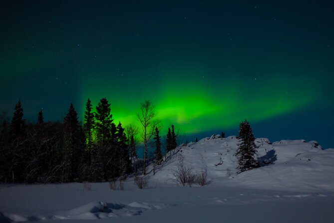 Northern Lights Hunting of Rovaniemi - What happens after the 7:15 pm pickup