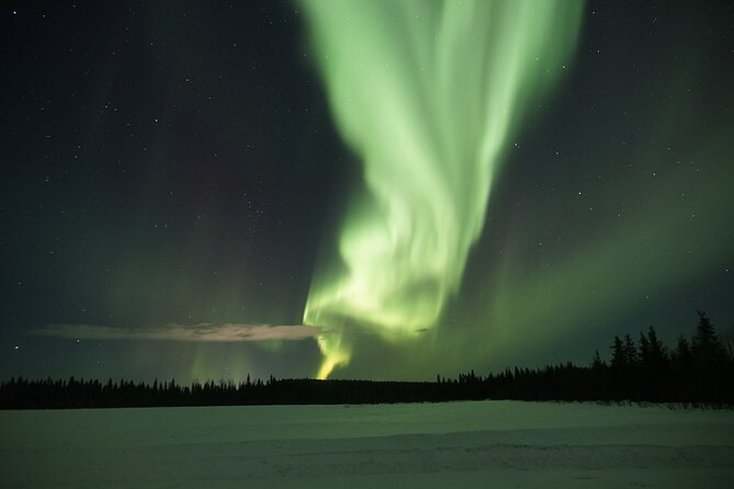 Northern Lights Hunting Photo Tour in Levi - Who will enjoy this evening most?