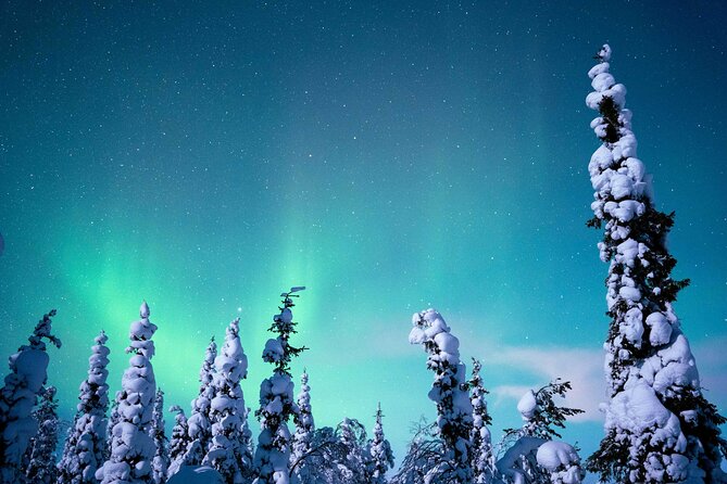 Northern Lights Hunting Photography Tour in Levi - How the guides shape the evening
