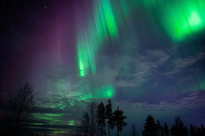 Northern Lights Hunting Photography Tour in Levi - Chasing clearer skies across Lapland