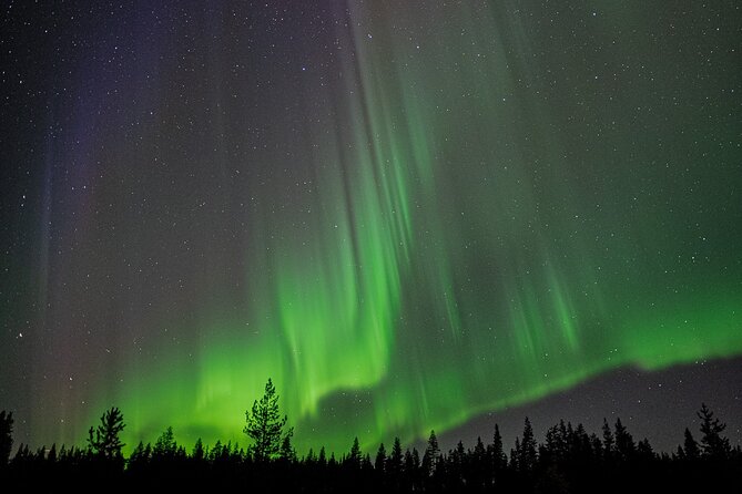 Northern Lights Hunting with a photographer (Only small groups) - Chasing clear skies beyond Rovaniemi