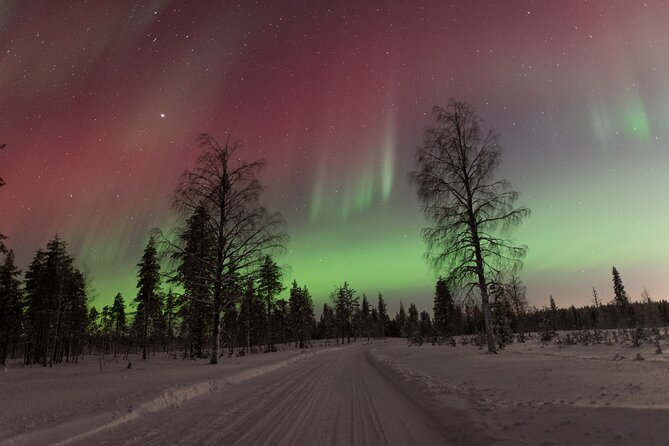 Northern Lights Hunting with a photographer (Only small groups) - Pickup from central Rovaniemi and the evening schedule
