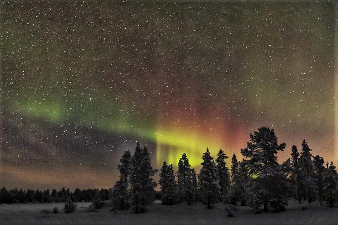 Northern Lights Hunting with Snowmobiles - Starting at Pekankatu 4 in central Rovaniemi