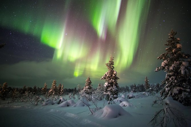 Northern Lights Hunting with Snowmobiles - Riding into the quiet Lappish forest