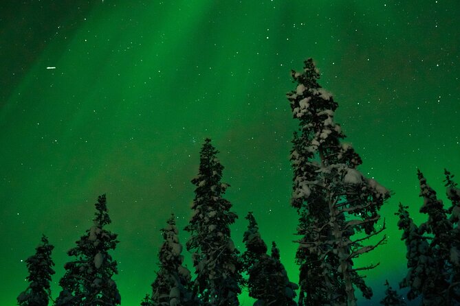Northern lights Reindeer Sledge Ride - What happens at the 7:00 pm start