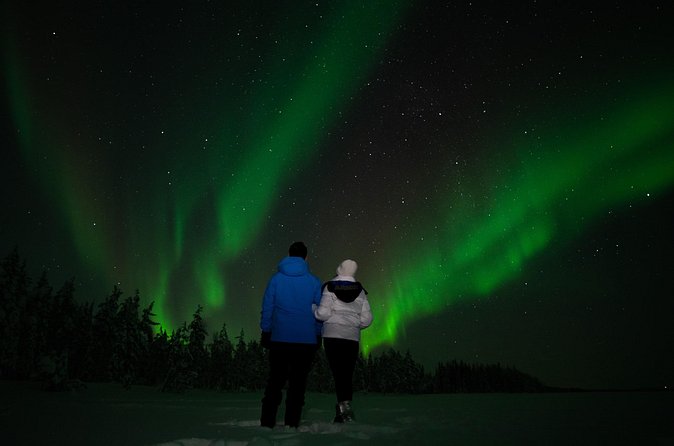 Northern lights Reindeer Sledge Ride - The 20-minute sleigh ride