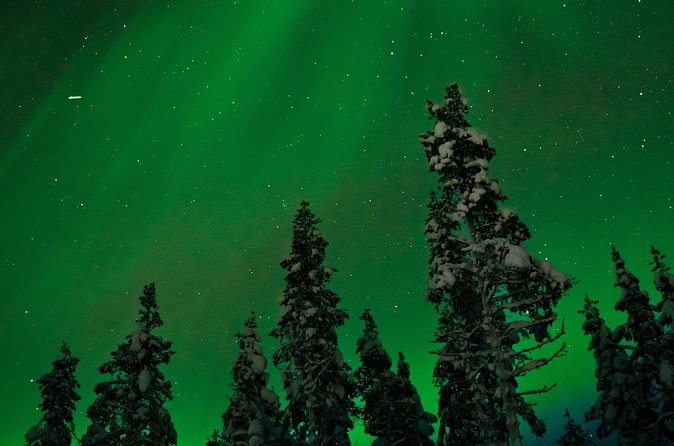 Northern lights Reindeer Sledge Ride - Northern lights without false promises