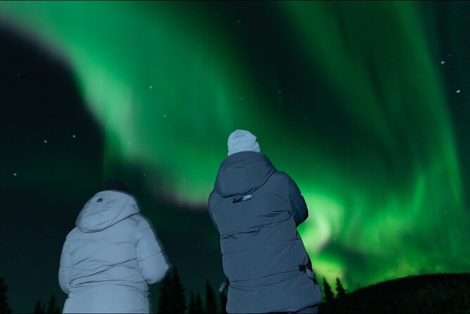 Northern Lights Rovaniemi: Guaranteed Tour with Local Guide - Key points to know before booking