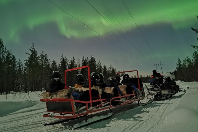 Northern Lights Sledge Ride - Key points to know before you book