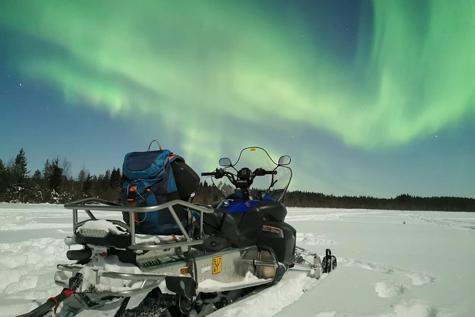 Northern Lights Sledge Ride - The sledge ride through the snowy forest