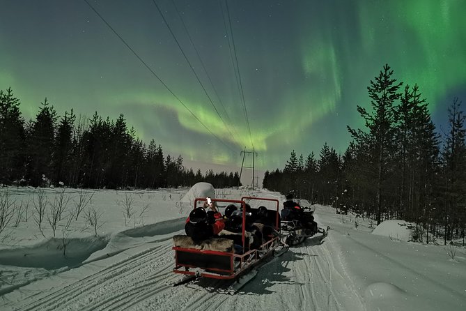 Northern Lights Sledge Ride - The guides make a big difference