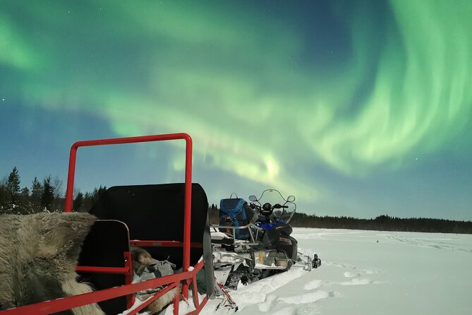 Northern Lights Sledge Ride - Who will enjoy this most?