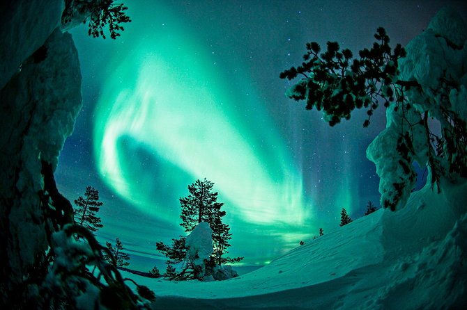 Northern Lights Snowmobile Driving Safari - Hunting the aurora under a starry sky