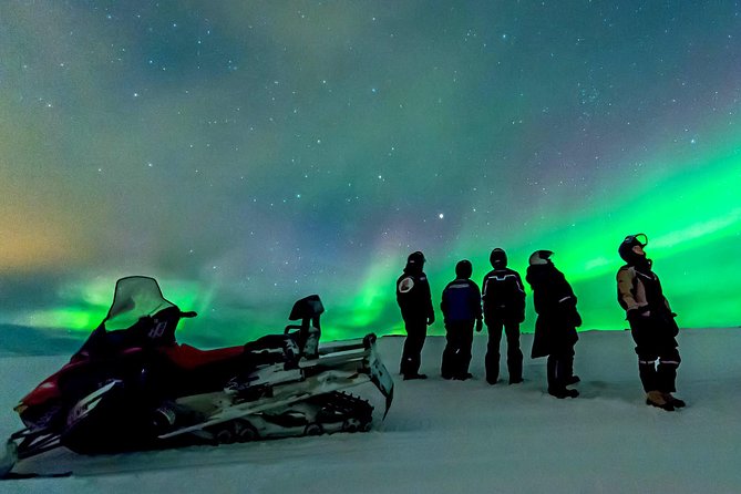 Northern Lights Snowmobile Safari from Rovaniemi with Campfire Picnic - Key points before you book