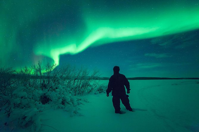 Northern Lights Snowmobile Safari from Rovaniemi with Campfire Picnic - Starting at 7 p.m. in Rovaniemi