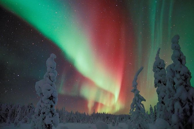 Northern Lights Snowmobile Safari from Rovaniemi with Campfire Picnic - A campfire stop with makkara and hot drinks