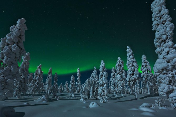 Northern Lights Snowmobile Safari from Rovaniemi with Campfire Picnic - The Northern Lights search has real limits