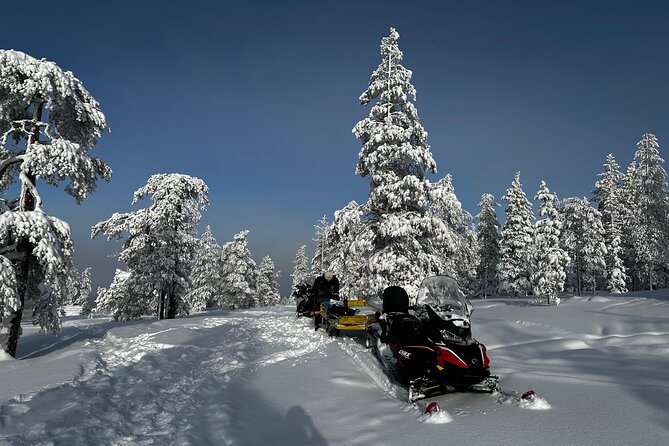 Northern Lights Tour Snowmobile Driving - Starting at Pekankatu 3 at 7:00 p.m.