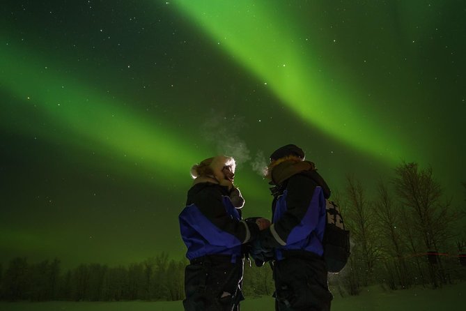 Northern lights tour to Lake Inari from Ivalo, Reindeers & Dinner - Meeting the reindeer, without expecting a reindeer safari