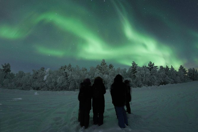 Northern Lights Tour with BBQ and drinks - The Three-Hour Rhythm