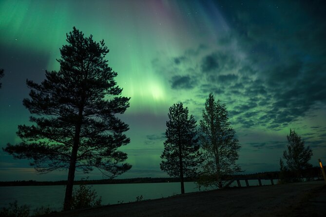 Northern Lights Tour with BBQ and drinks - Booking Advice for Rovaniemi