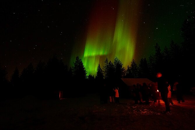 Northern Lights Trip to a Magical Place in Lapland - How the three to four hours are spent