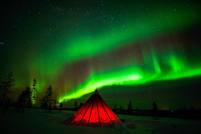 Northern Lights Wilderness Small-Group Tour from Rovaniemi - Additional Stops: Chasing Clearer Skies
