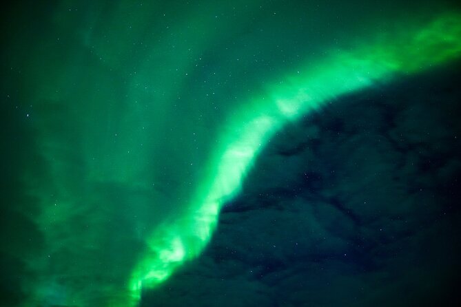 Northern Lights Wilderness Small-Group Tour from Rovaniemi - Fire, Hot Chocolate, and Finnish Snacks