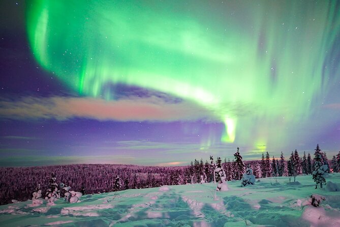 Northern Lights Wilderness Small-Group Tour from Rovaniemi - How the Aurora Hunt Actually Works