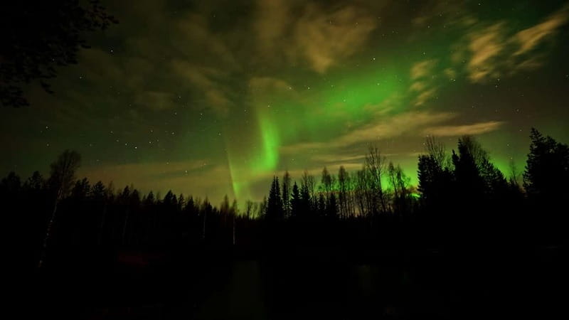 Oulu: Starguaranteed Northern Lights Mobile Chase - Who will enjoy this chase most
