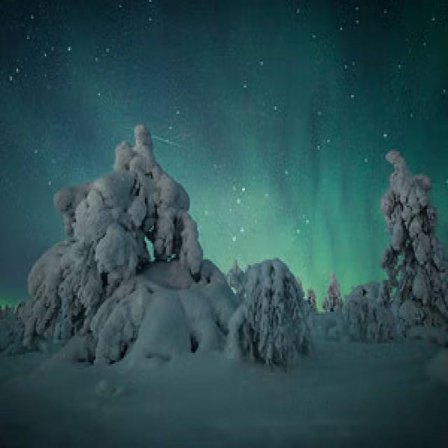 Polar Night Snowshoe Trek - Pausing for hot drinks in the cold