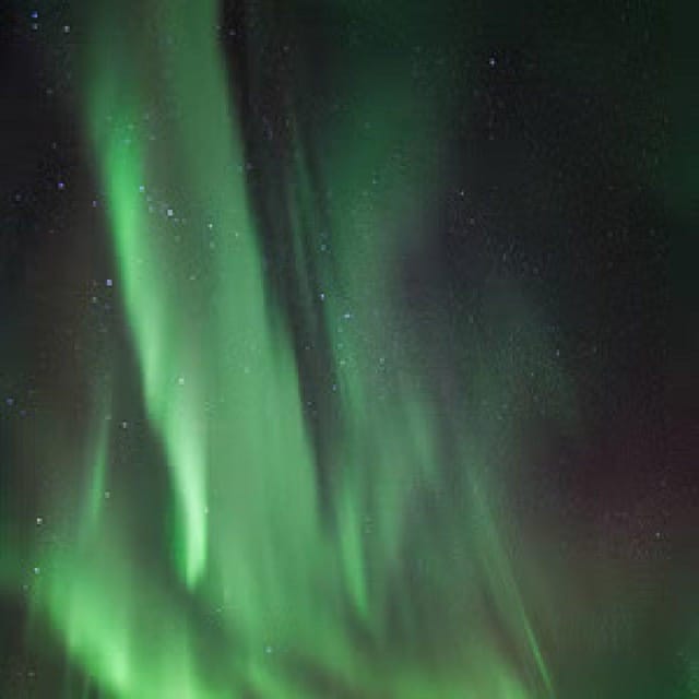 Polar Night Snowshoe Trek - Who should book this snowshoe walk?