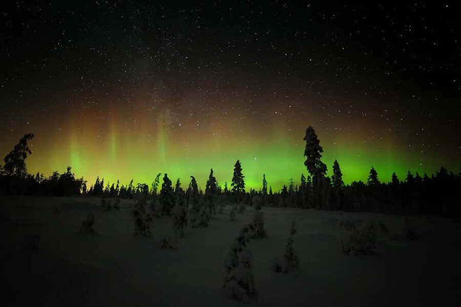 Polar Night Snowshoe Trek - Learning to move through Lapland snow