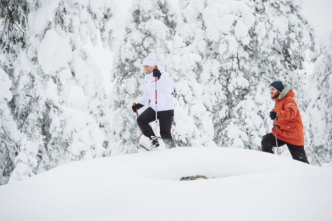 Premium Snowshoeing in Pyhä-Luosto National Park - Key points to know before booking