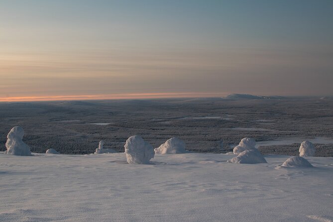 Premium Snowshoeing in Pyhä-Luosto National Park - Snowshoeing down into the Arctic taiga