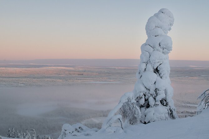 Premium Snowshoeing in Pyhä-Luosto National Park - A Finnish fire meal in the forest