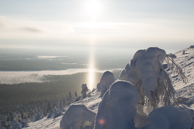 Premium Snowshoeing in Pyhä-Luosto National Park - Photography, changing light, and snow-covered trees