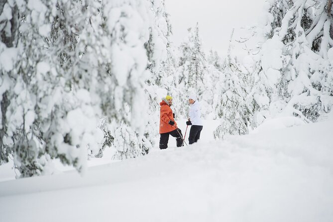 Premium Snowshoeing in Pyhä-Luosto National Park - Riding the PyhäExpress to the top of Pyhä