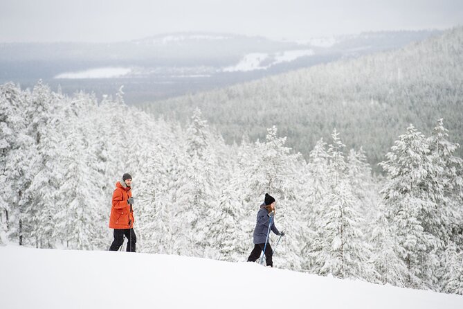 Premium Wilderness Skiing in Pyhä-Luosto National Park - Altai skis make forest travel less intimidating
