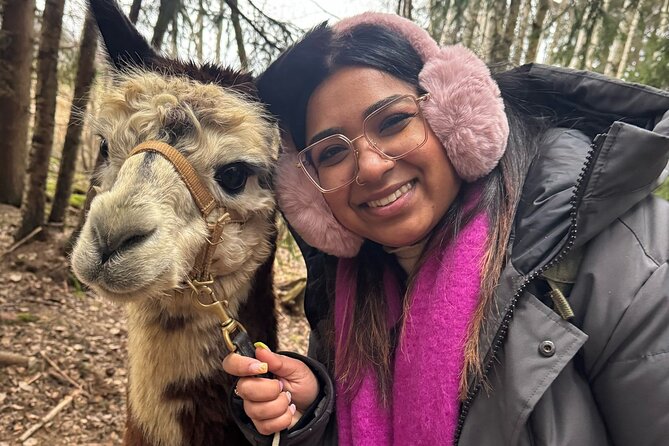 PRIVATE Alpaca Guided Forest Walk + Feeding Helsinki - Timing, weather, and the small print