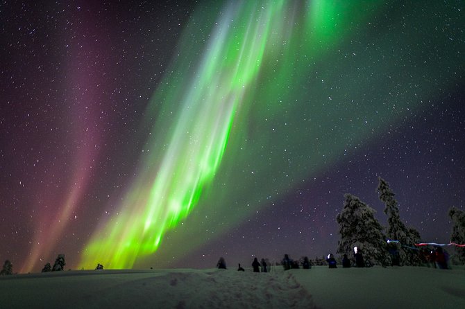 Private Aurora Tour (5 or more) by Aurora Experts - Rovaniemi - Key points at a glance