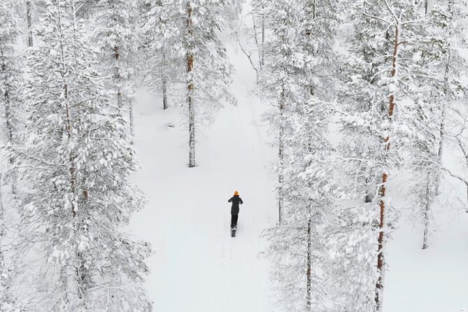 Private Driving Snow Scooters Experience in Finland - What the eLyly snow scooter feels like