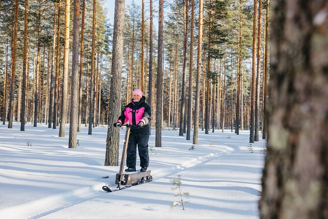 Private Driving Snow Scooters Experience in Finland - How much value do you get for $102.25?