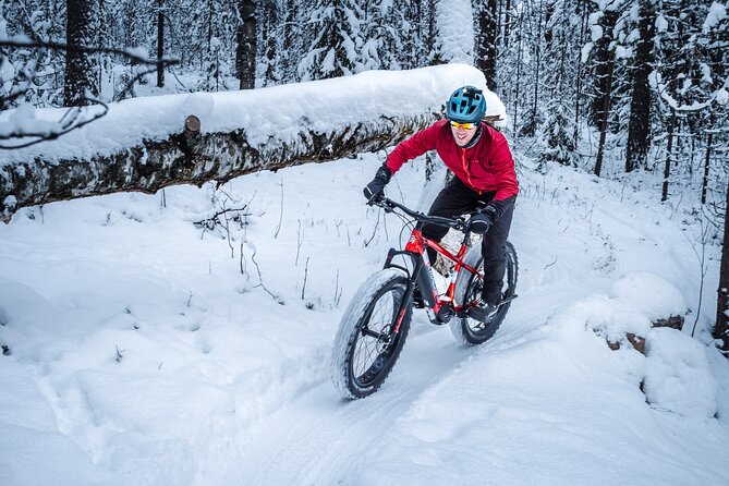 Private Electric Fat Bike Winter Tour in Rovaniemi - Starting at Hostel Café Koti in central Rovaniemi