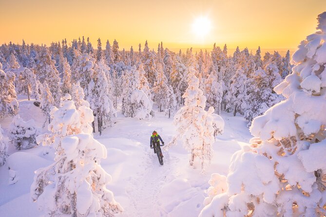 Private Electric Fat Bike Winter Tour in Rovaniemi - Choosing the right Ounasvaara winter trail