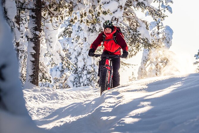 Private Electric Fat Bike Winter Tour in Rovaniemi - The downhill return through the forest